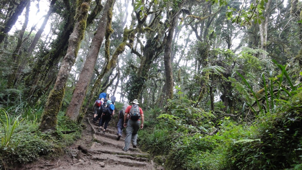 Climboing Mount Kilimanjaro